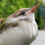 DAKSHA Visakhapatnam